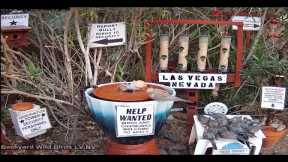 6Bird Feeders, and a Water Fountain / Las Vegas, NV