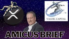 XRP USED EVERYDAY FOR BUSINESS - Valhil Capital submits Amicus Brief - SEC v Ripple - XRPL XRP