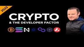Top Blockchains and the Developer Factor