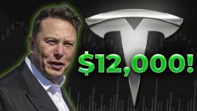 The One Factor Why YOU SHOULDN’T SELL Your Tesla Stock — EVER!