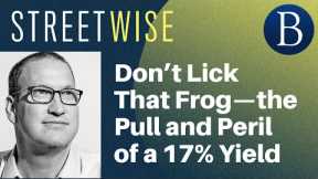 Don’t Lick That Frog—the Pull and Peril of a 17% Yield | Barron's Streetwise