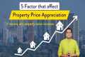 5 Factors That Affect Property