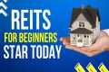 What Are REITs? Real Estate