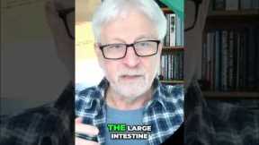 Inflammation Location Indicates Gut Issues #shorts