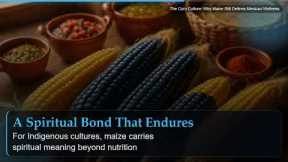 The Corn Culture: Why Maize Still Defines Mexican Wellness