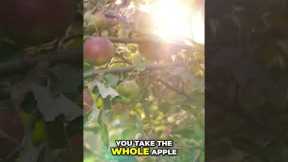 Apple Fiber: Detox Your Body, Boost Your Health! #shorts