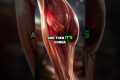 Heart Attack: The Ultimate Muscle
