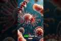 Why Your Immune System Needs